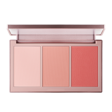 Load image into Gallery viewer, VT X BTS Super Tempting Cheek Palette 02 Forever Young