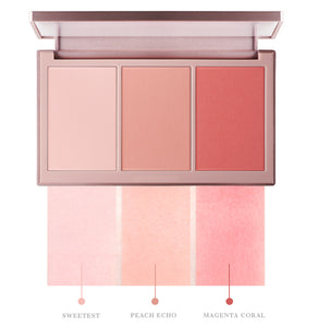 VT X BTS Super Tempting Cheek Palette 02 Forever Young