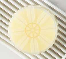 PERFUME VITA SHOWER HEAD FRAGRANCE REFILL 2EA