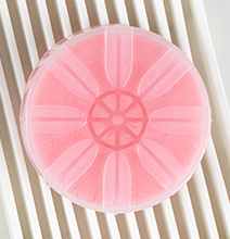 PERFUME VITA SHOWER HEAD FRAGRANCE REFILL 2EA